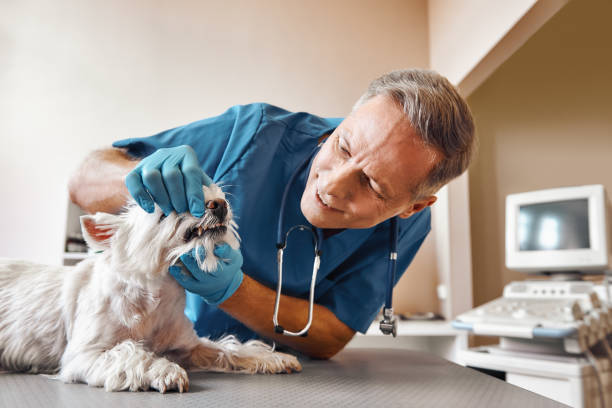 Best Emergency Root Canal Treatment in Throop, PA